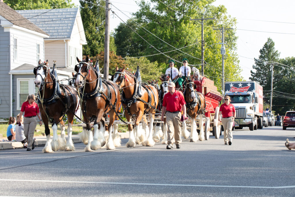 Veterans and First Responders Parade. Dallastown, PA. Budweiser Clydesdales. June 28, 2024. Photo credit: Marc Laucks.