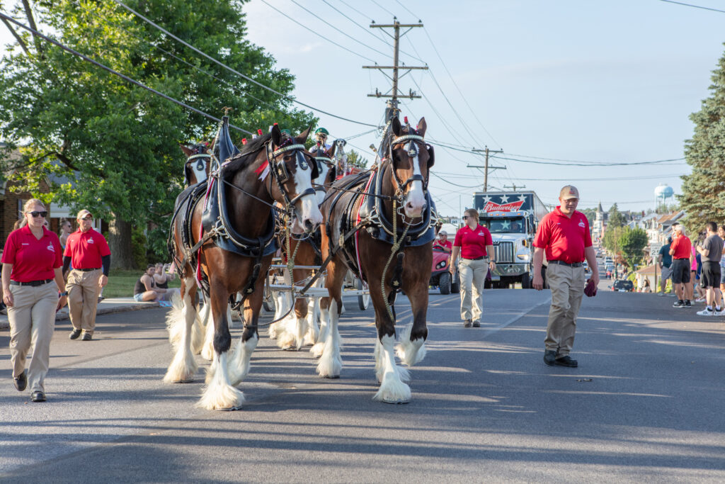 Veterans and First Responders Parade. Dallastown, PA. Budweiser Clydesdales. June 28, 2024. Photo credit: Marc Laucks.