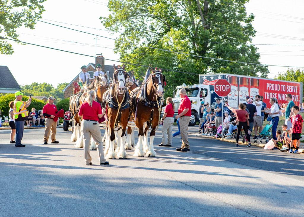 Veterans and First Responders Parade. Dallastown, PA. Budweiser Clydesdales. June 28, 2024. Photo credit: Marc Laucks.