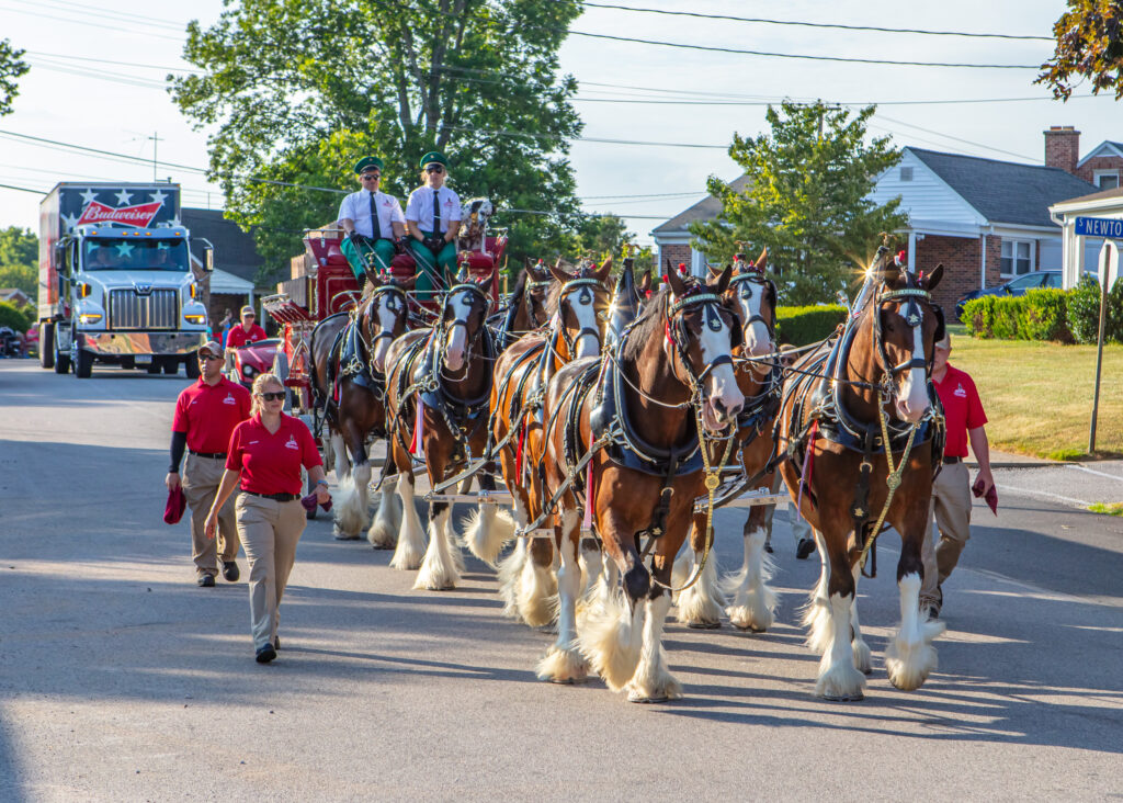 Veterans and First Responders Parade. Dallastown, PA. Budweiser Clydesdales. June 28, 2024. Photo credit: Marc Laucks.