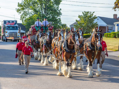 Veterans and First Responders Parade. Dallastown, PA. Budweiser Clydesdales. June 28, 2024. Photo credit: Marc Laucks.