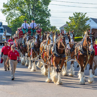 Veterans and First Responders Parade. Dallastown, PA. Budweiser Clydesdales. June 28, 2024. Photo credit: Marc Laucks.