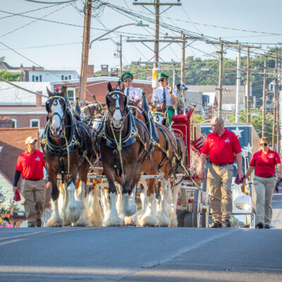 Clydesdales on Parade